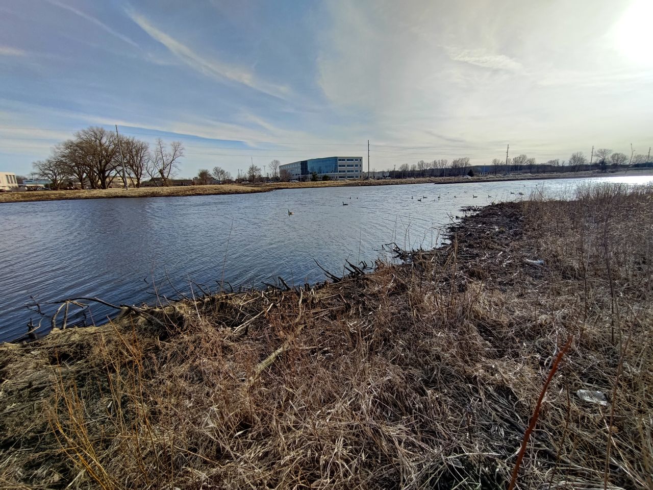 Asus ROG Phone 5 wide-angle camera sample