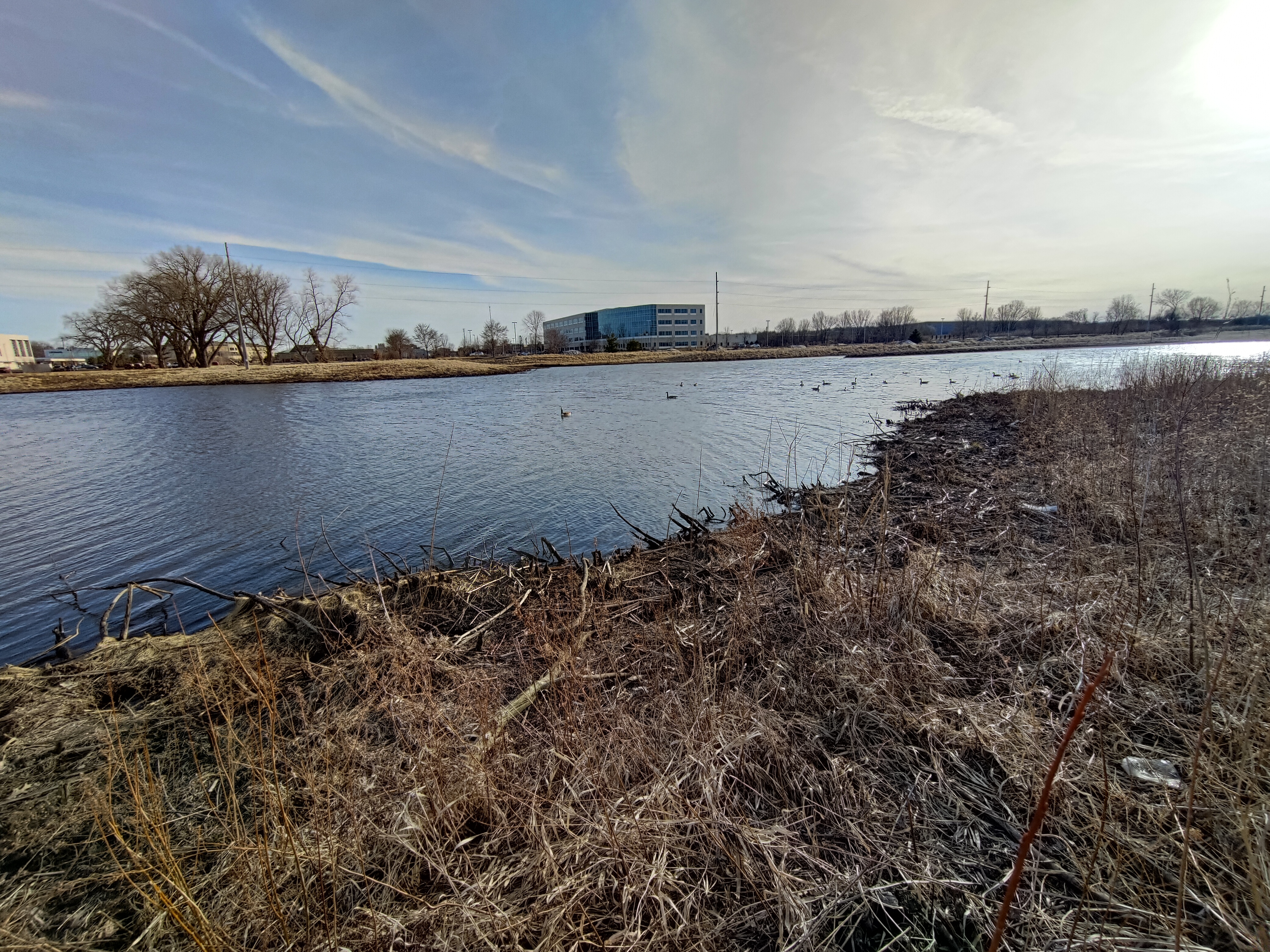 Asus ROG Phone 5 wide-angle camera sample