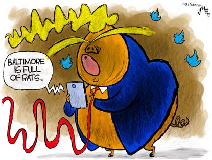 Political Cartoon Trump Pig Tweets Baltimore Rats