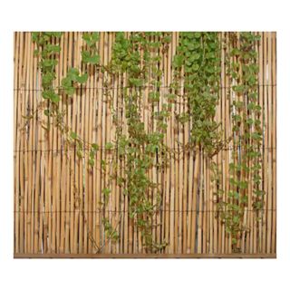 Bamboo fencing with faux leaves