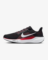 Nike Pegasus 41 Men's