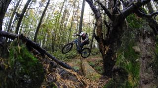 Mountain biker riding through forest with fallen trees in the foreground
