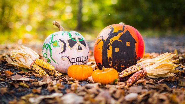 Easy no-carve pumpkin ideas with two pumpkinssat among autumn leaves, painted with a skull and hanuted house designs