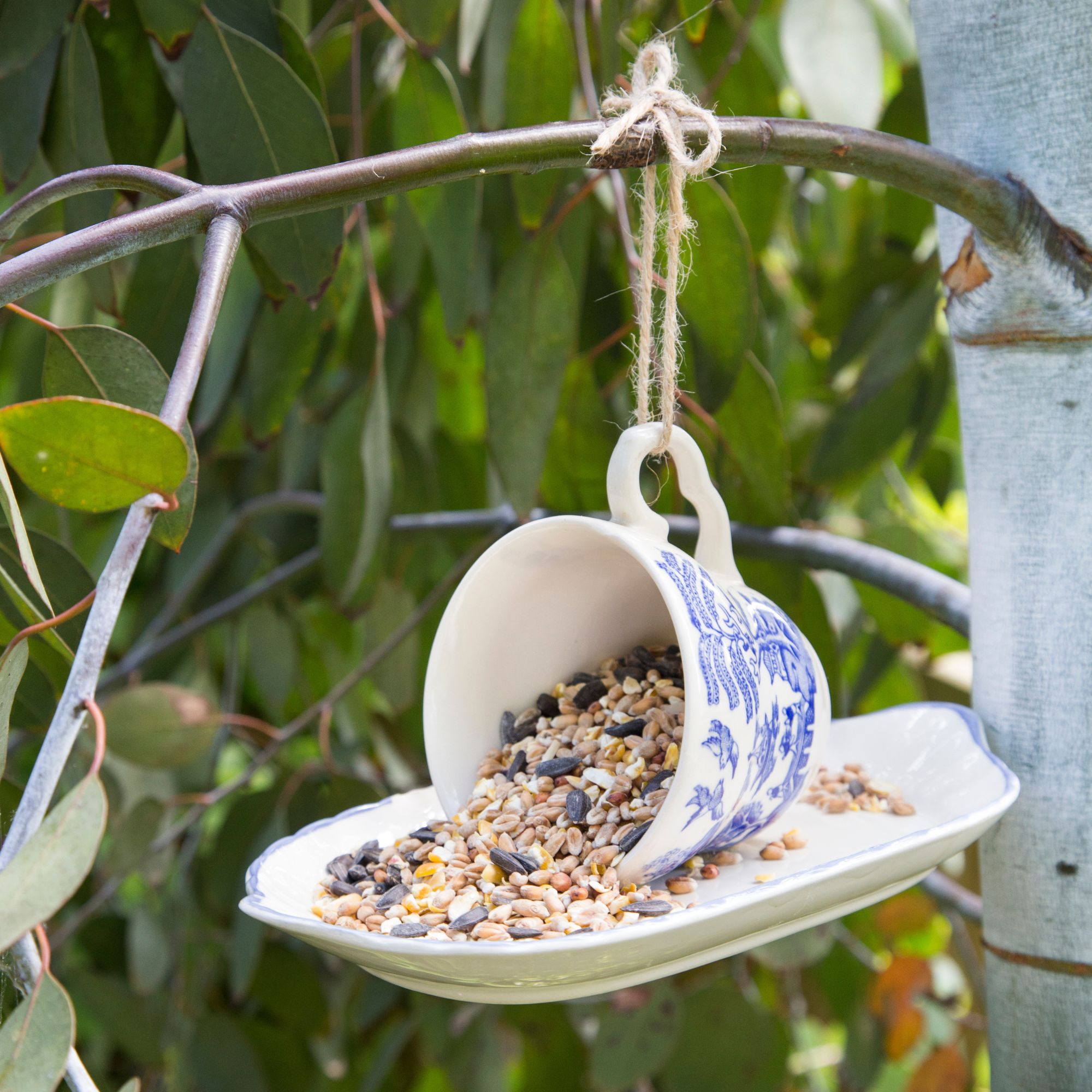 tea cup and saucer bird feeder in garden