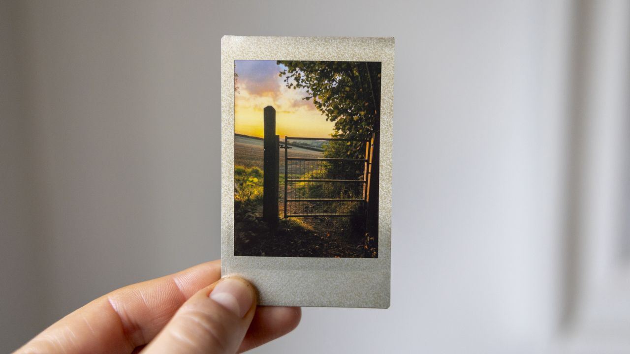 An Instax Mini featuring a golden hour landscape