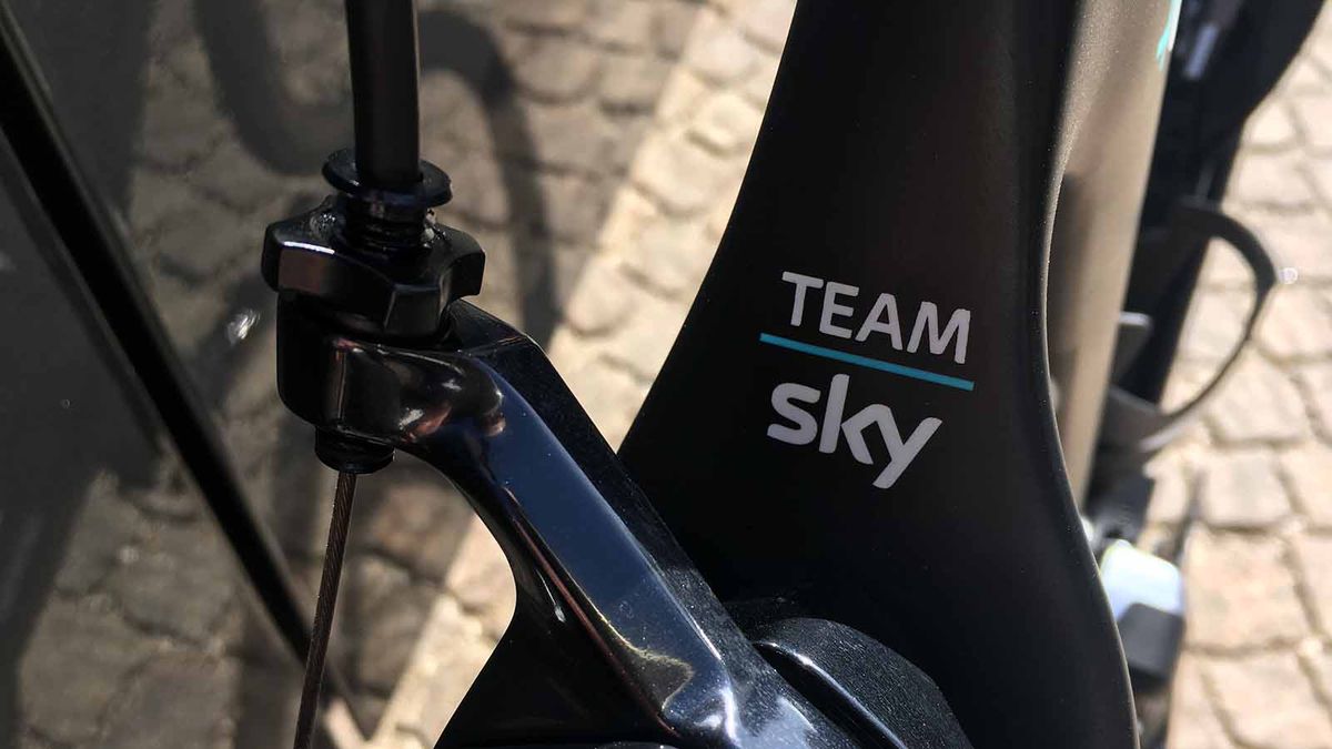 A Team Sky decal sits at the top of the seat stays