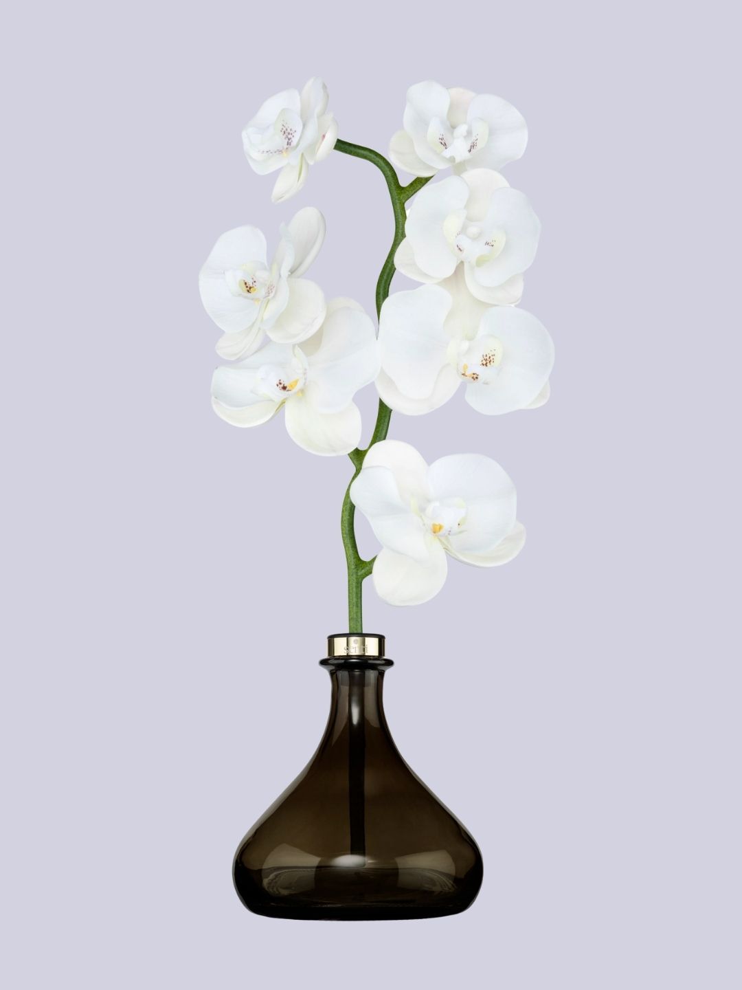 Senti, The Orchid Jasmine &amp;amp; Geranium Diffuser, 250ml