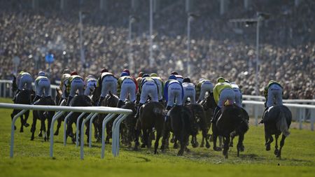 Horses racing at Cheltenham