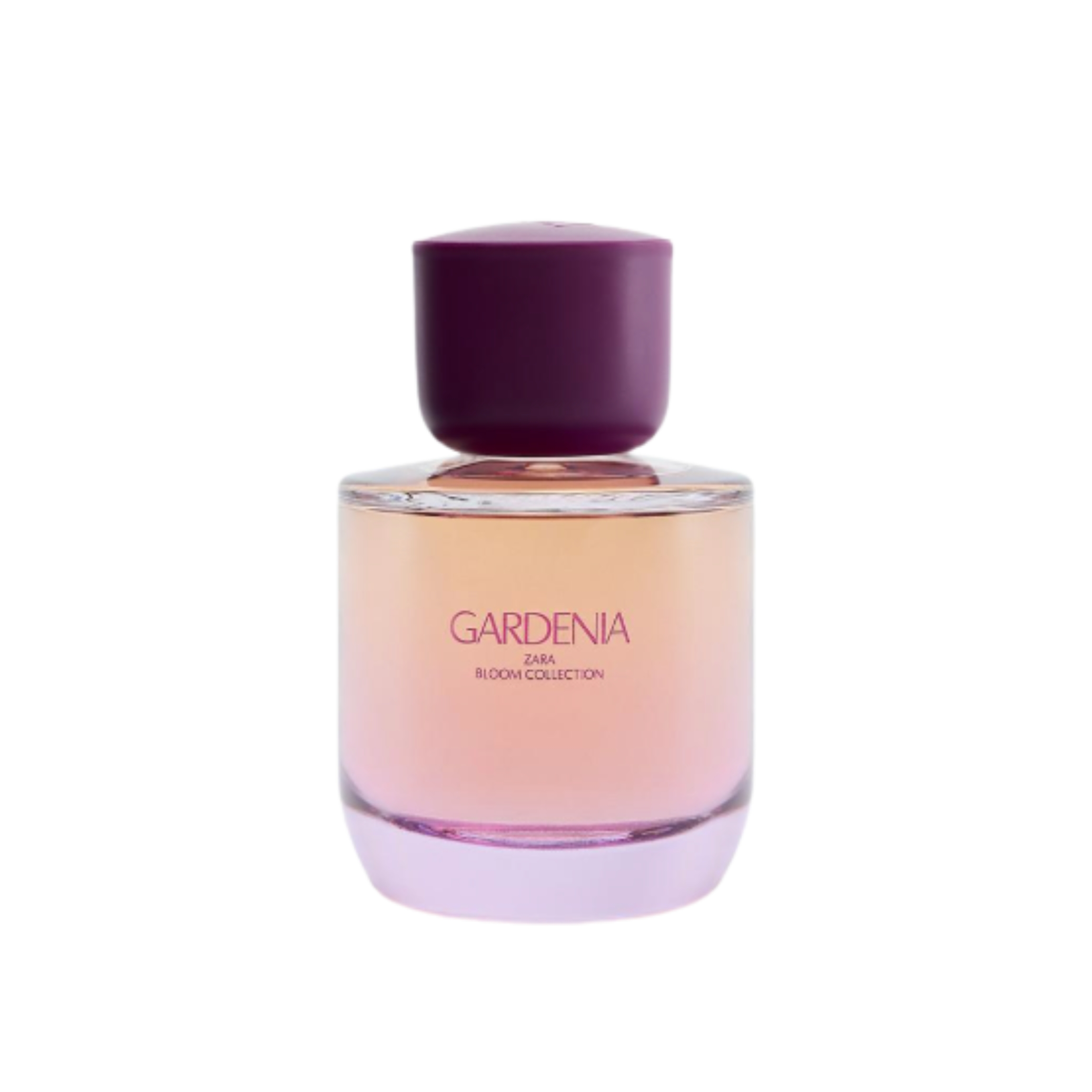 A product shot of ZARA&#039;s GARDENIA eau de parfum, on a white background