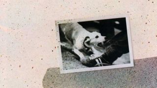 Fleetwood Mac - Tusk