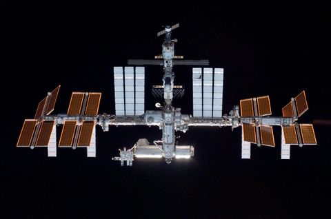 space station 13 races