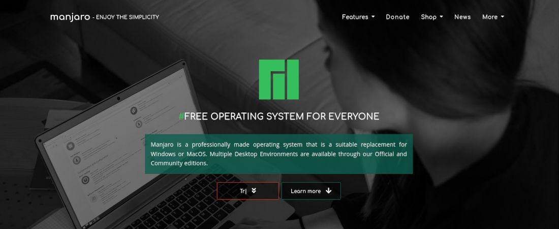 Screenshot of Manjaro Linux&#039;s website