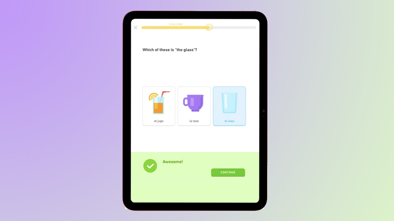 Duolingo on iPad