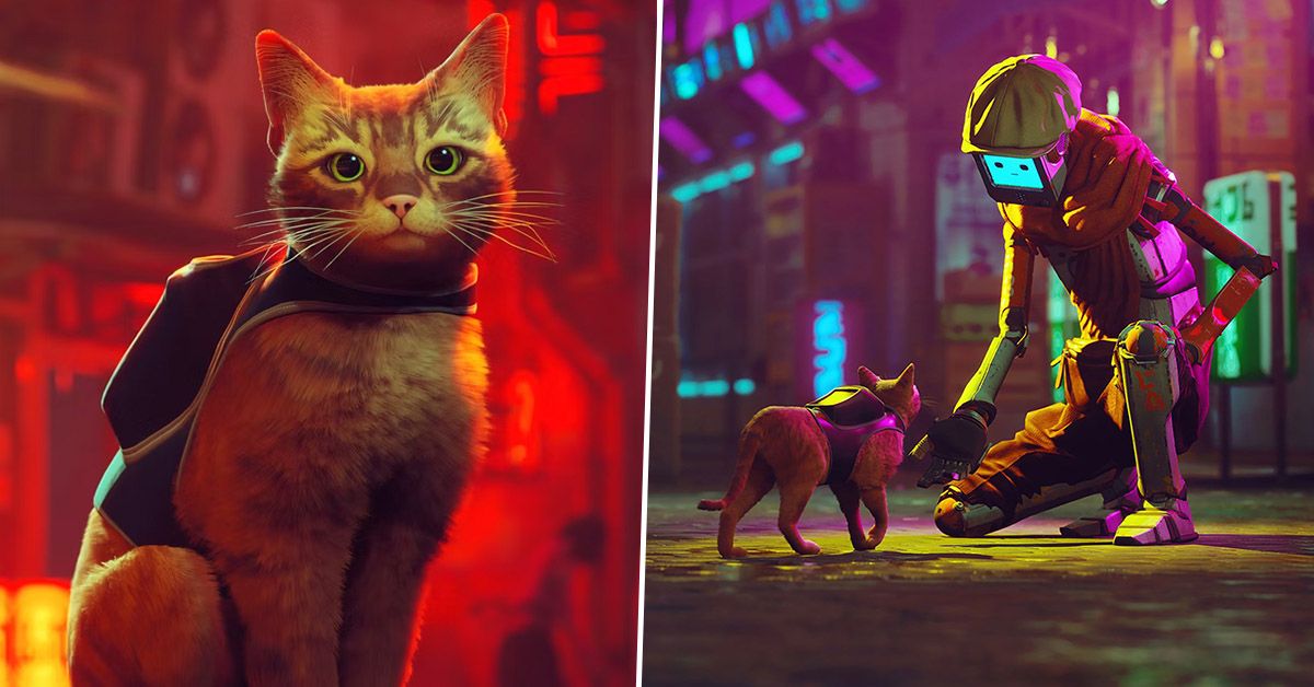 STRAY: Full PS5 Trailer Reveal (the PS5 cat game) 