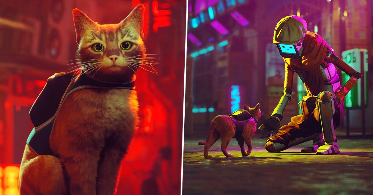 stray cat game ps5 