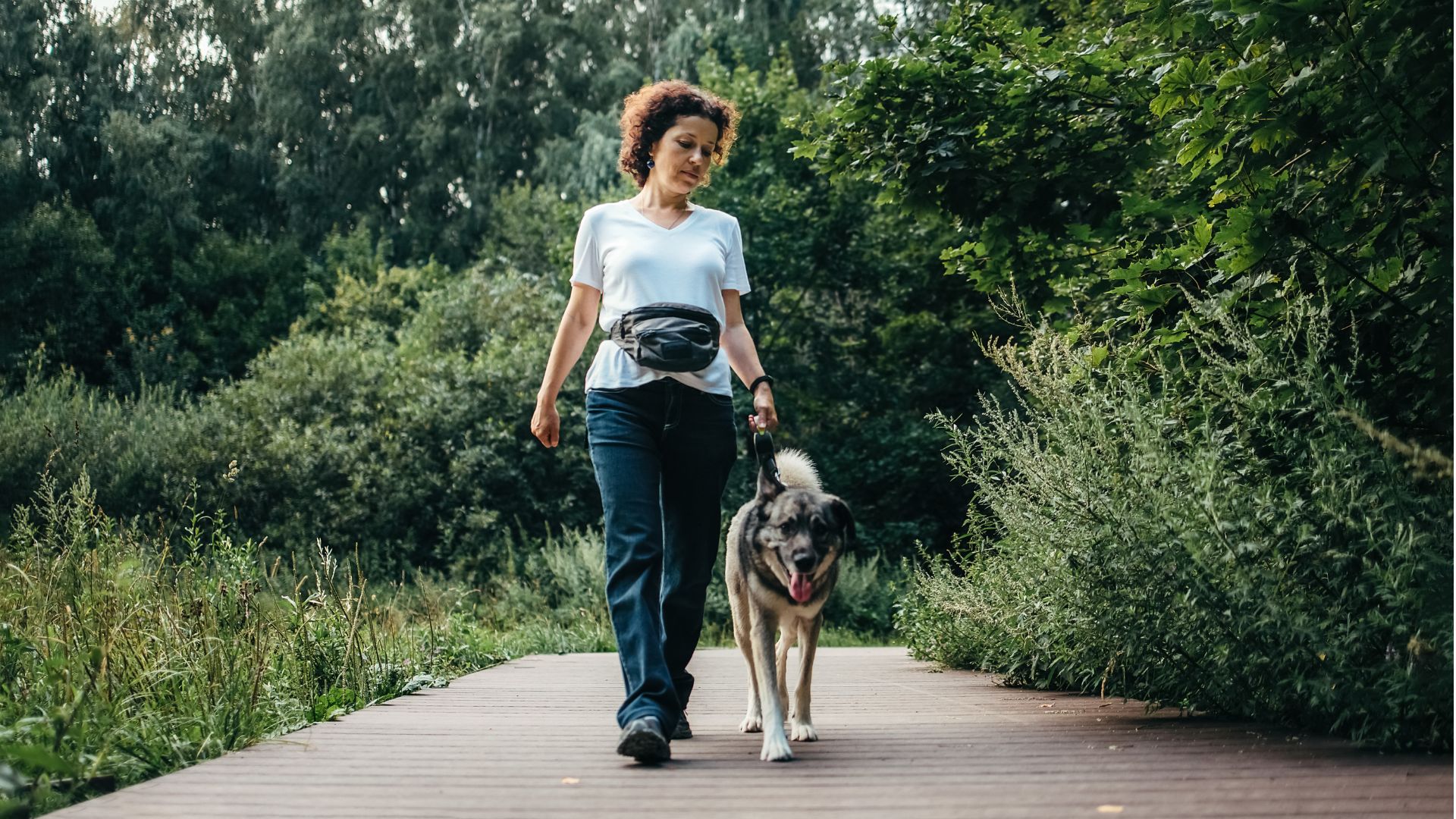Woman walking dog with lead in forest