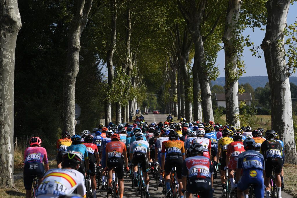 CHAMPAGNOLE FRANCE SEPTEMBER 18 Peloton Forest Landscape during 107th Tour de France 2020 Stage 19 a 1665km stage from Bourg en Bresse to Champagnole 547m TDF2020 LeTour on September 18 2020 in Champagnole France Photo by Tim de WaeleGetty Images