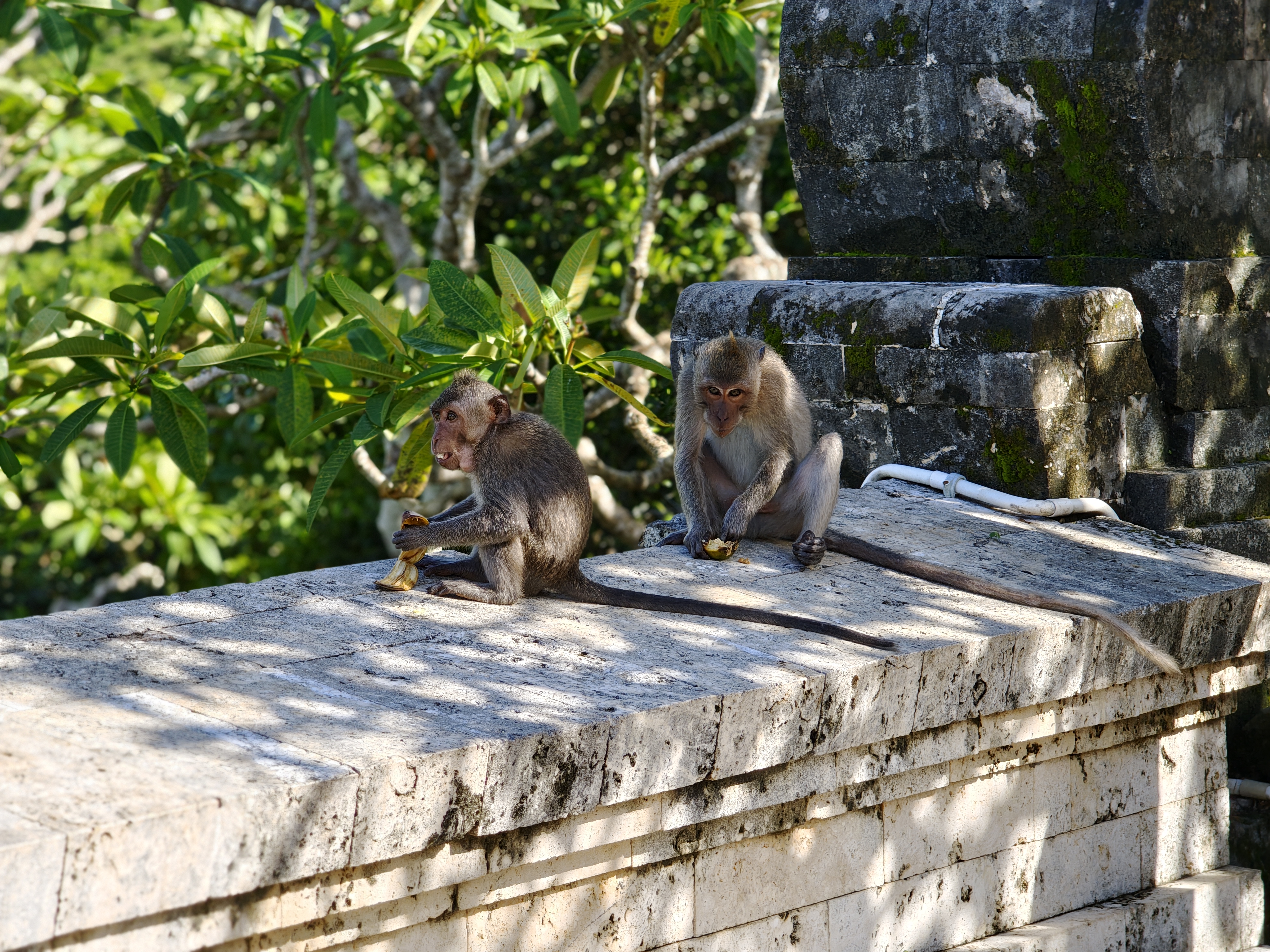 POCO F8 Ultra camera testing in Bali by Android Central