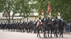 Horse-Trust-union.jpeg