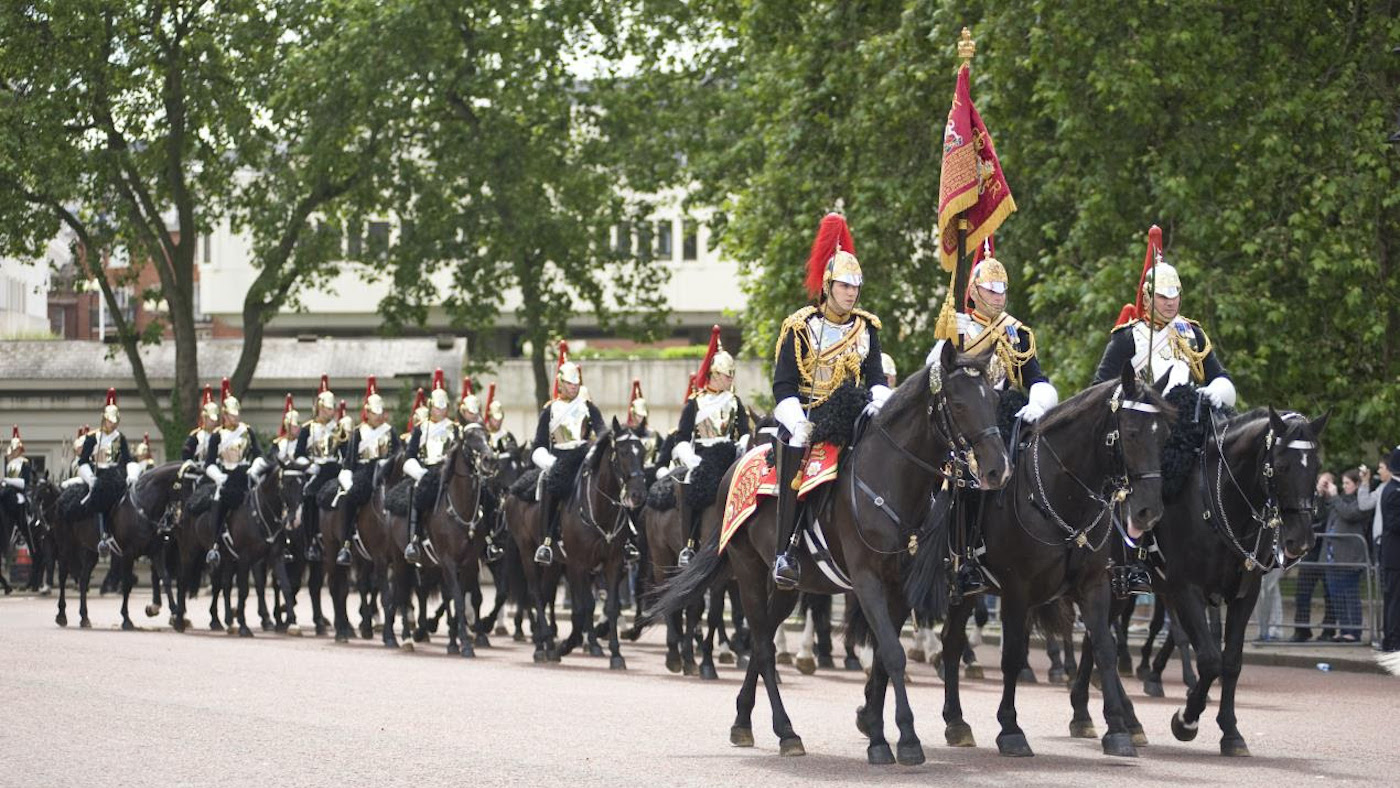 Horse-Trust-union.jpeg