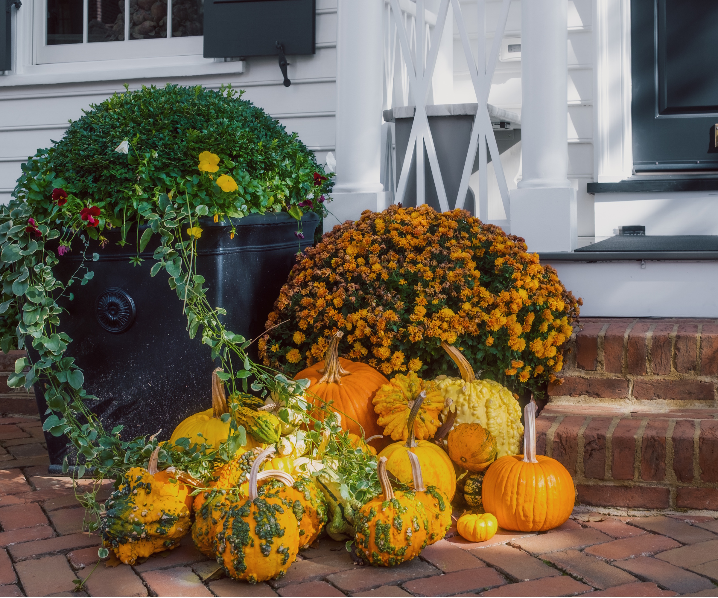 Fall porch planting with pumpkins and chrysanthemums next to stairs