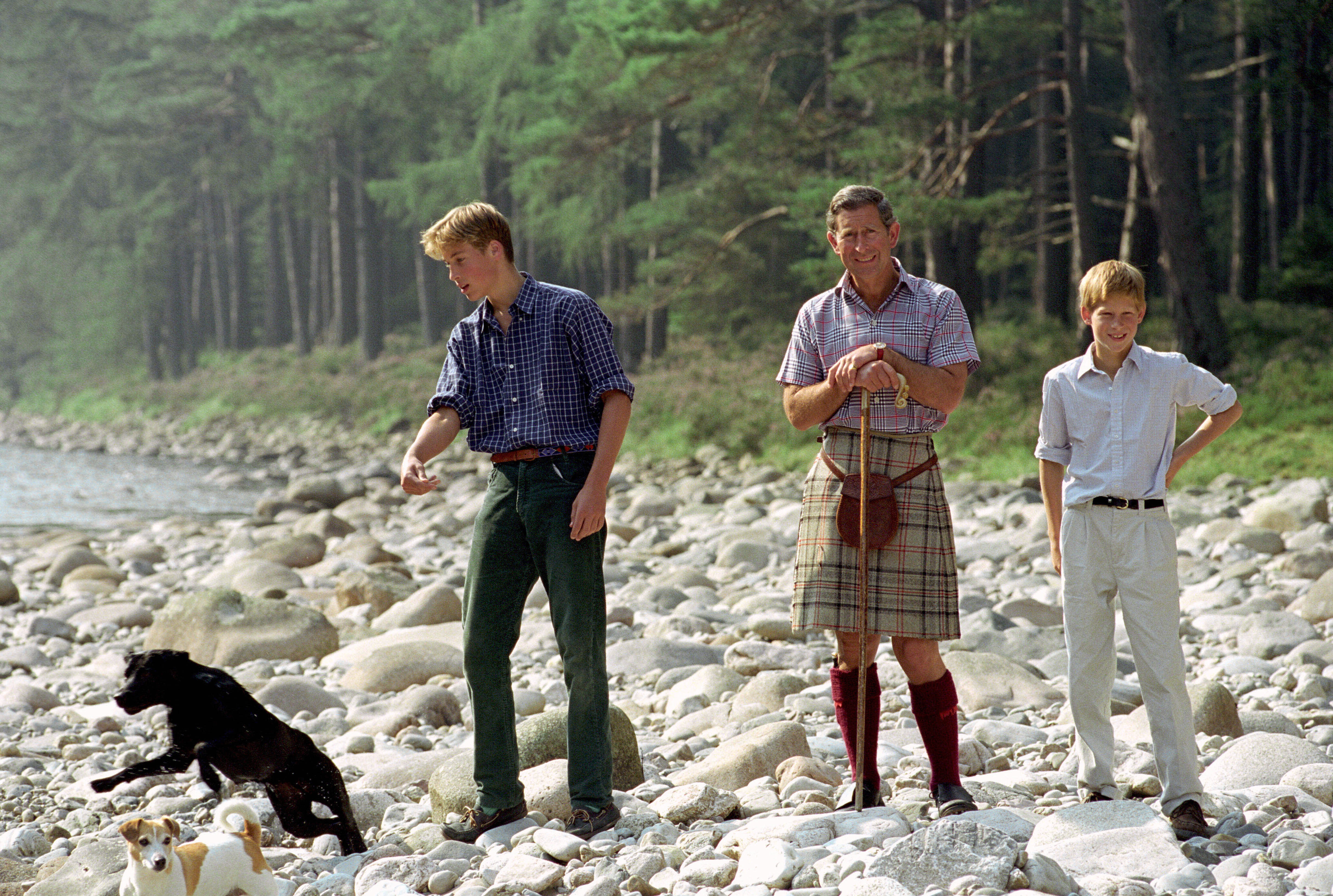 Prince William, Prince Charles and Prince Harry posing on a rocky beach with their dogs