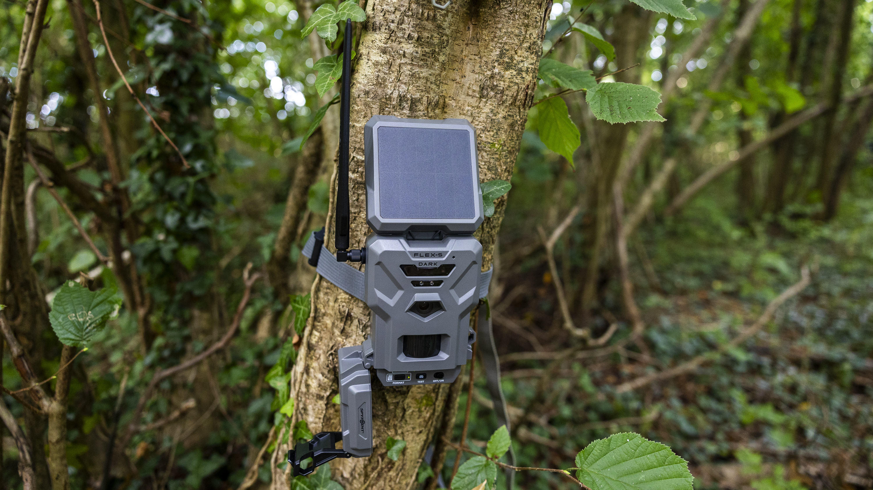 The Spypoint FLEX-S-Dark trail camera in a woodland