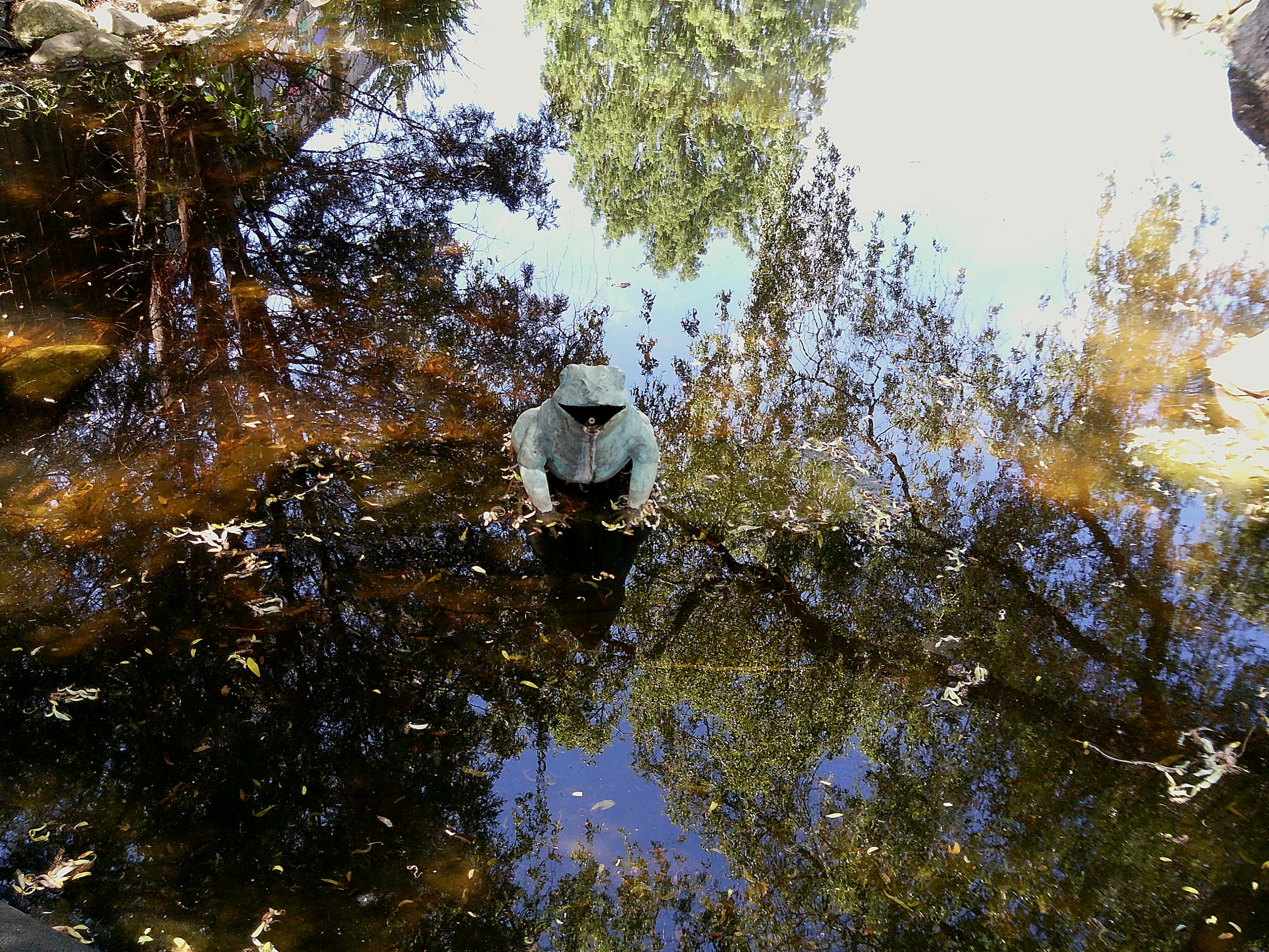 Sample image taken with the Camp Snap 2