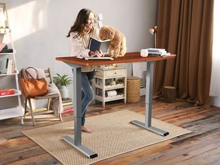 Flexispot Adjustable Desk Lifestyle