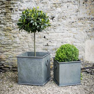 Two square planters from galvanised steel on top of stones next to stone wall with a green plant in each planter