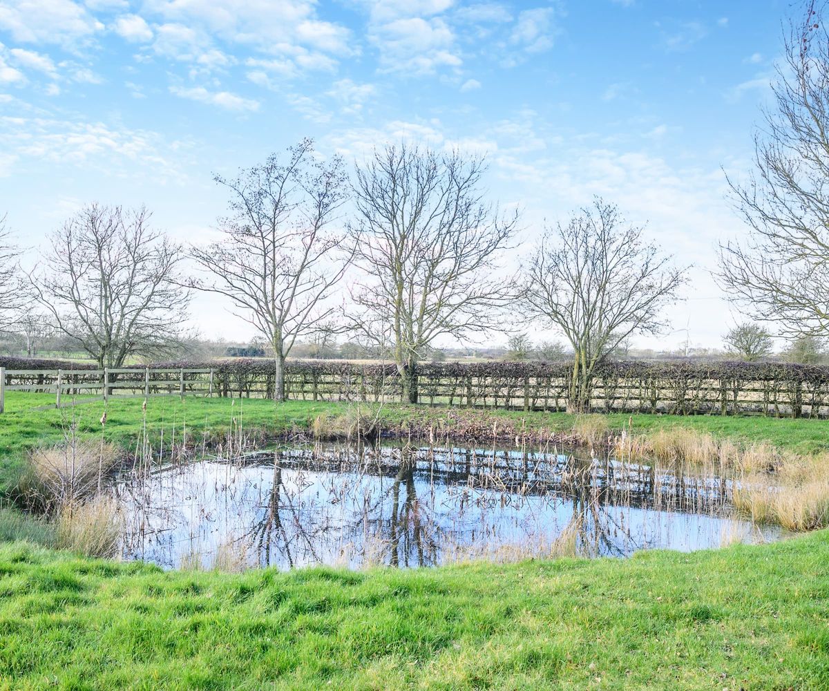 A small lake/pond on the estates land