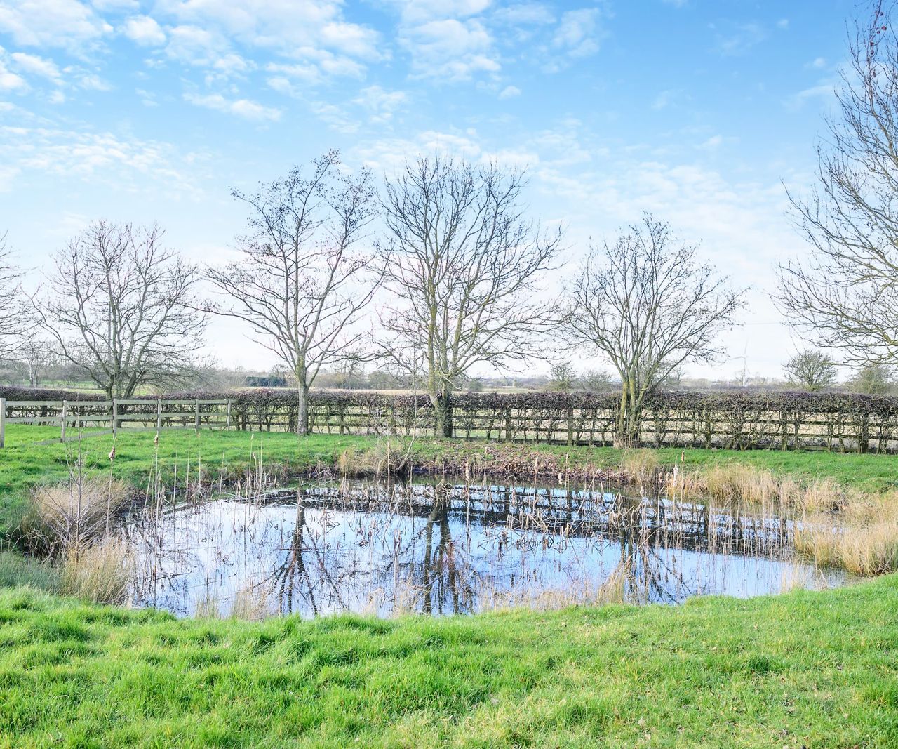A small lake/pond on the estates land