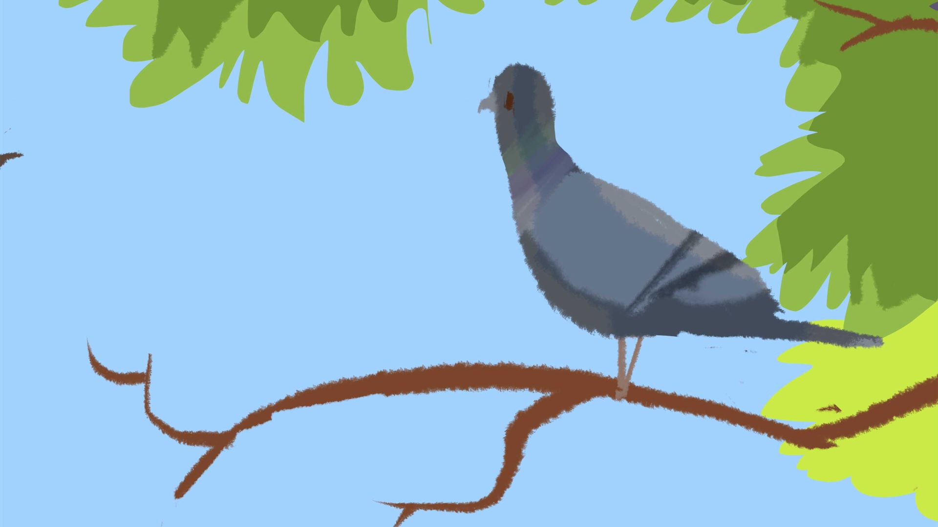 Short-Term Cash Investments: 0%-2%