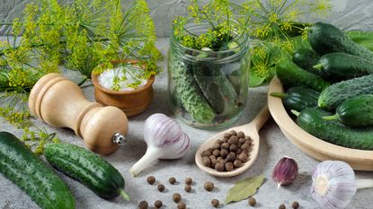 Herbs and spices for pickling on a counter