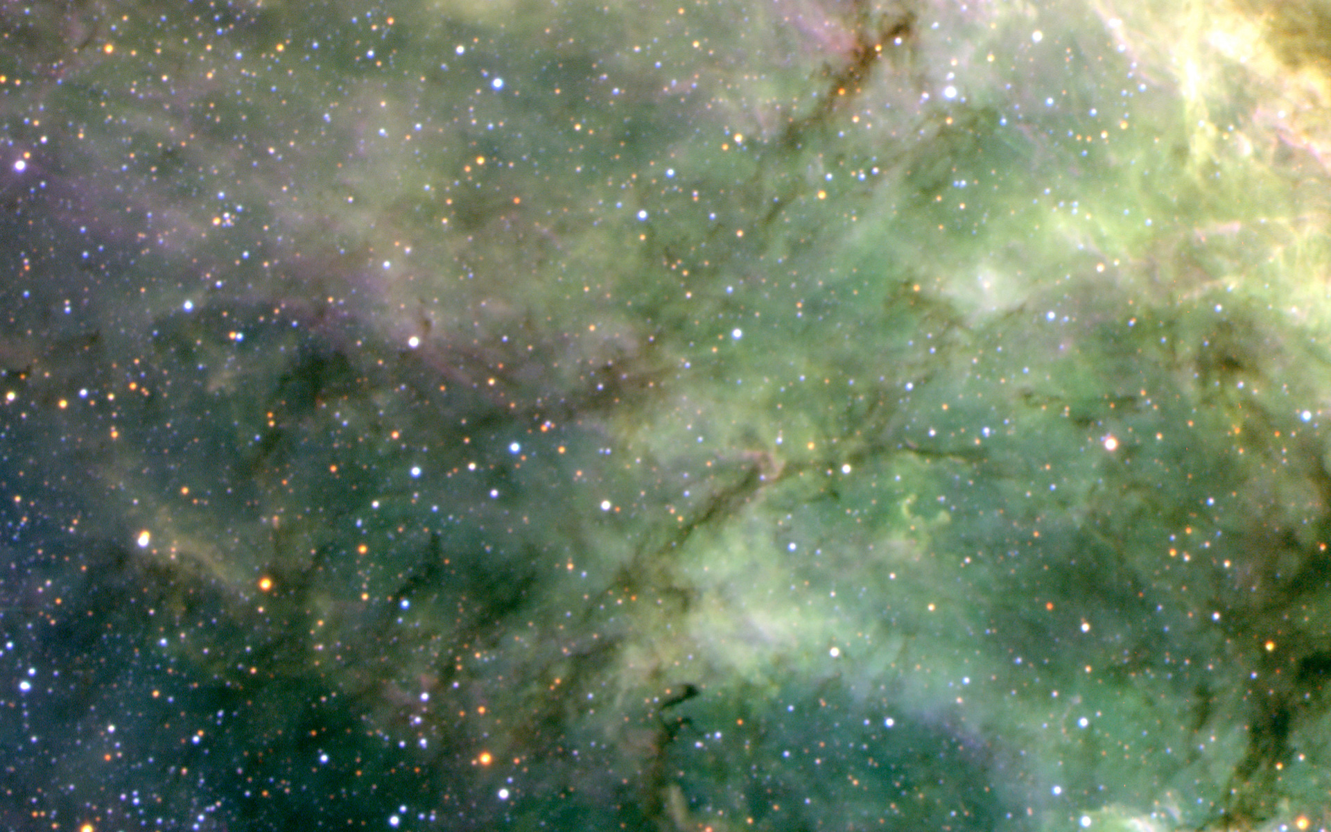 Filaments in the Tarantula Nebula