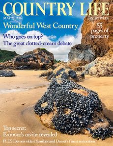 Country Life May 25 2016