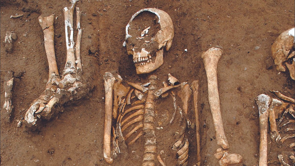 Картинки по запросу "500-year-old wall made from human bones and skulls is unearthed at a Belgia"