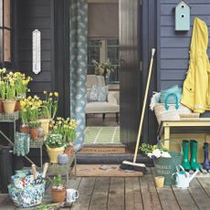 Potted daffodils on tiered potting benches in garden, welly boots, broomstick and garden tools outside house