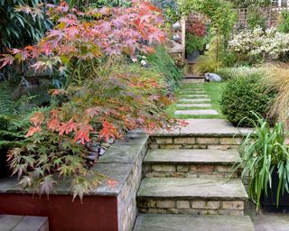 urban garden in autumn with stone steps leading up to a small lawn