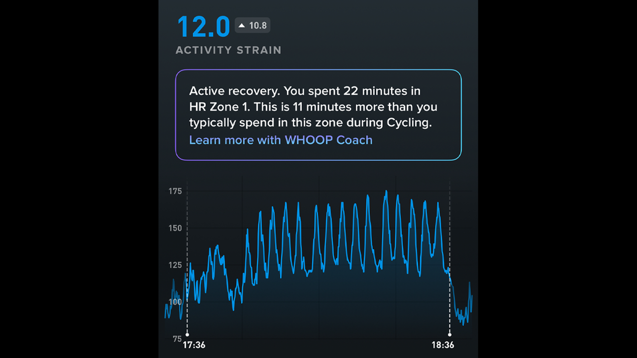 Whoop heart rate comparison graphs