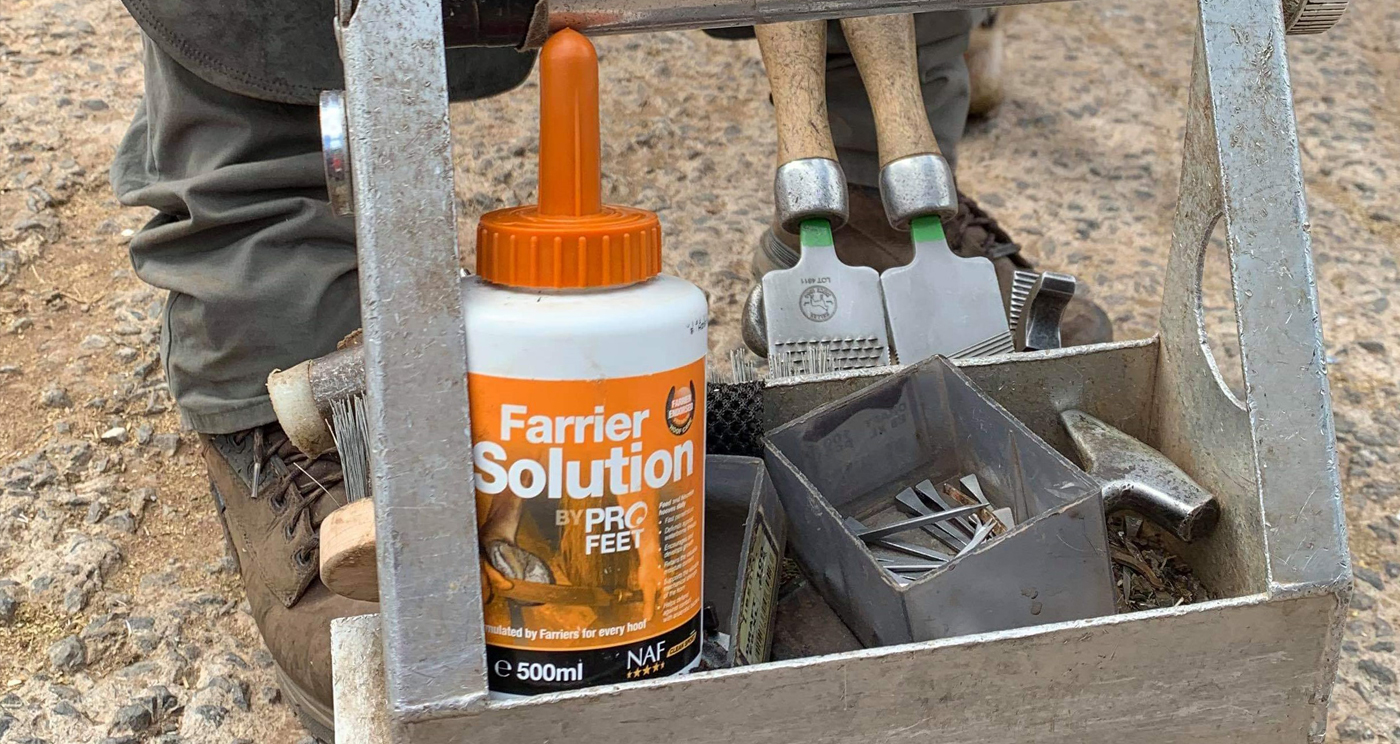 Ferrier-Solution-IMage