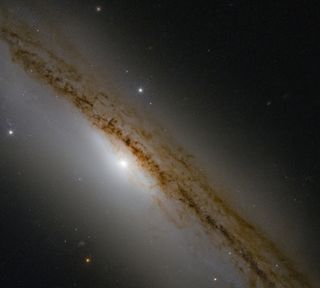 A new Hubble Space Telescope image of the spiral galaxy NGC 1589 reveals the galaxy's bright central bulge, where a supermassive black hole is lurking in a group of tightly packed stars. The galaxy "was once the scene of a violent bout of cosmic hunger pangs," Hubble astronomers said in a statement. Located 168 million light-years from Earth in the Taurus constellation, NGC 1589 was discovered by William Herschel in 1783. "As astronomers looked on, a poor, hapless star was seemingly torn apart and devoured by the ravenous supermassive black hole at the center of the galaxy," the Hubble team said. Now astronomers are using Hubble to look for any evidence of stellar debris that was ejected when the star was torn apart.