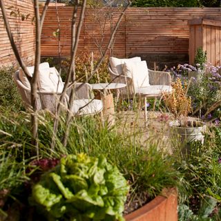 a garden with two armchairs and fencing in the sunshine beside planters with plenty of flowers and plants