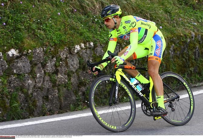 Daniele Colli (Yellow Fluo)
