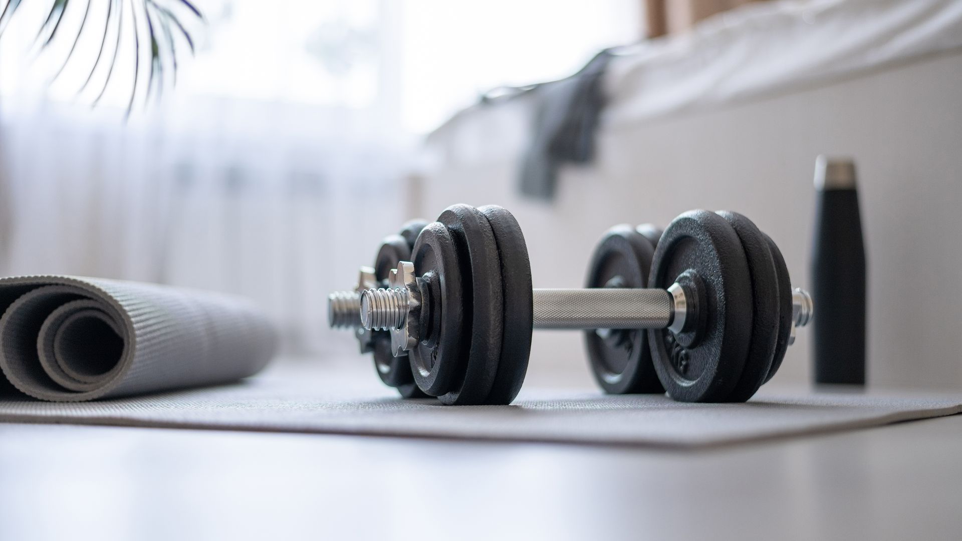 Home weights set deals Bowflex, RUNWE sales Live Science