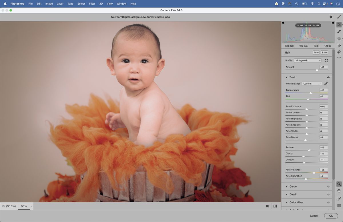 Get creative with baby photography and play with digital backdrops ...