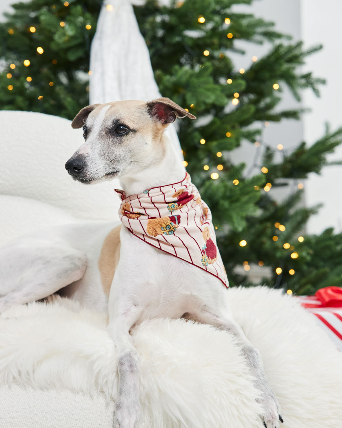 Christmas Dog Neckerchief