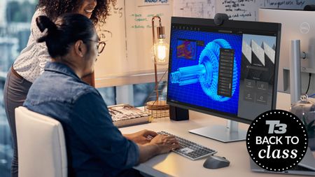 Man using software on a Dell monitor