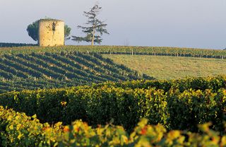 Picture: Bureau National Interprofessionnel de l'Armagnac