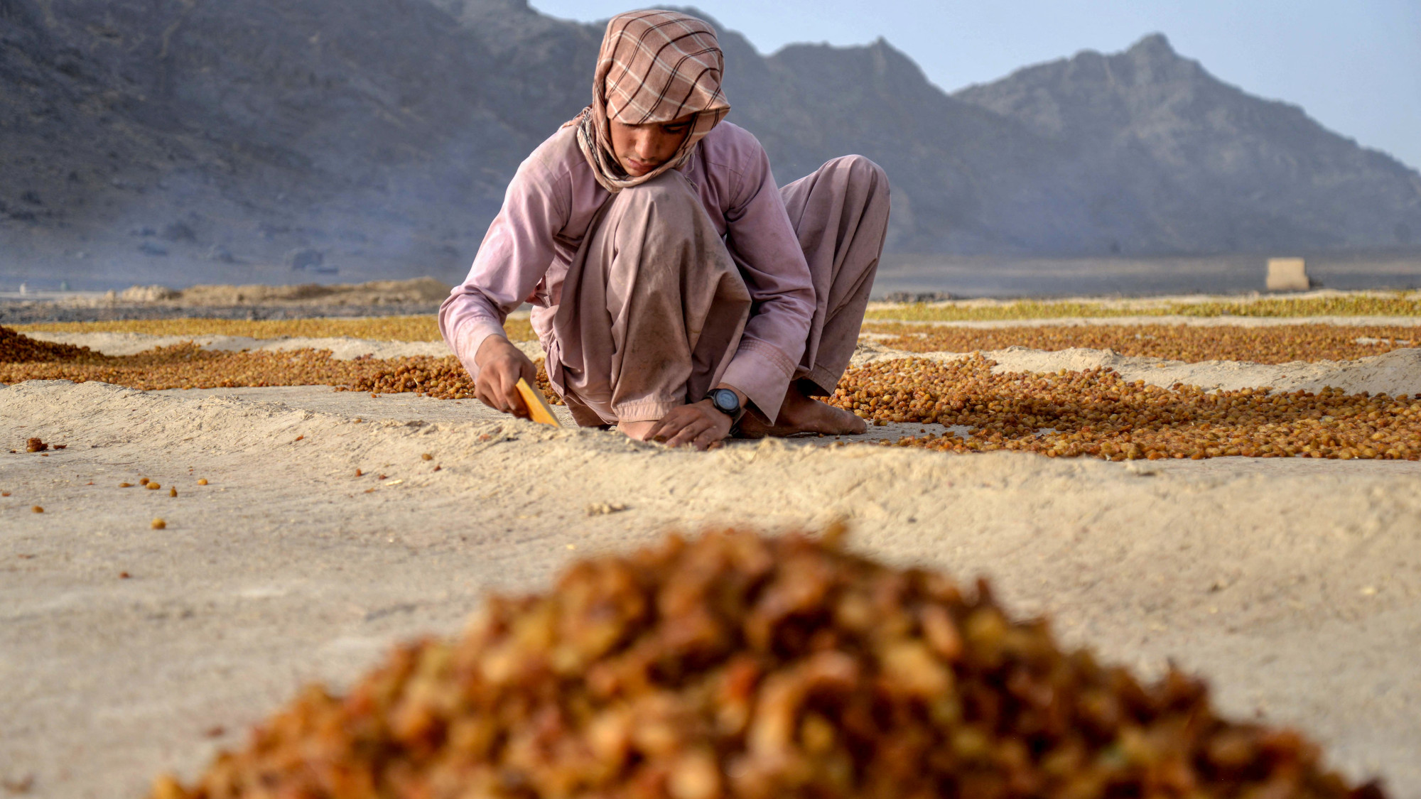 A farmer